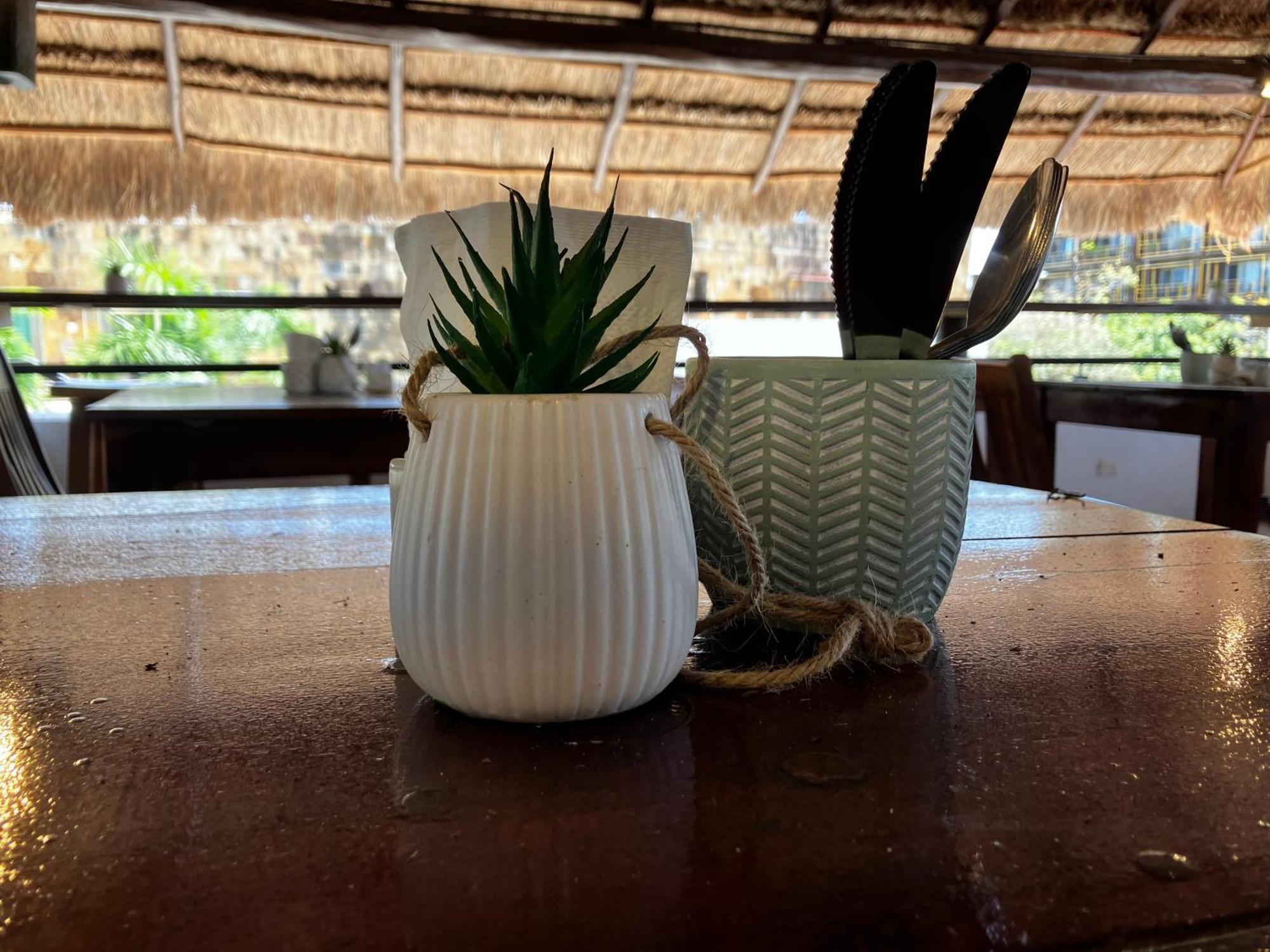 Aria Quinta Avenida & Rooftop * Playa del Carmen